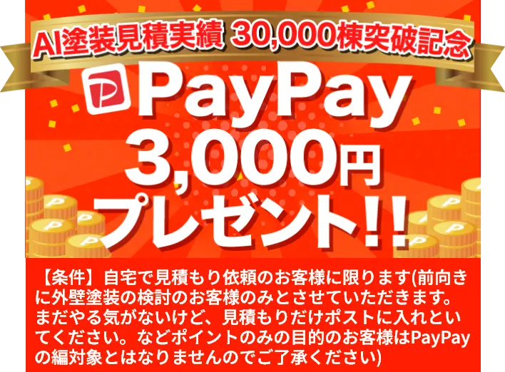 PayPay3,000円プレゼント！！